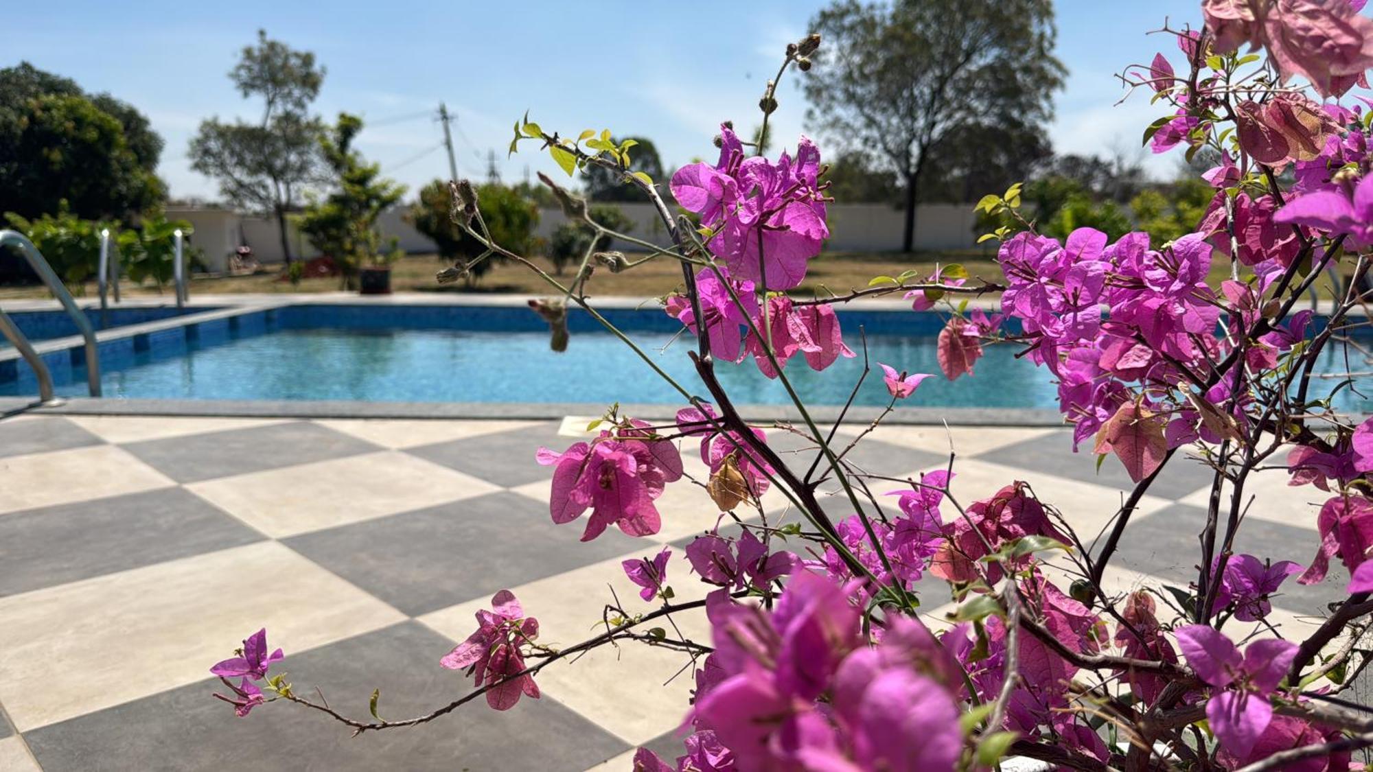 Raj Home Stay ไมซอร์ ภายนอก รูปภาพ